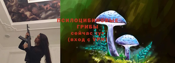 спиды Абдулино